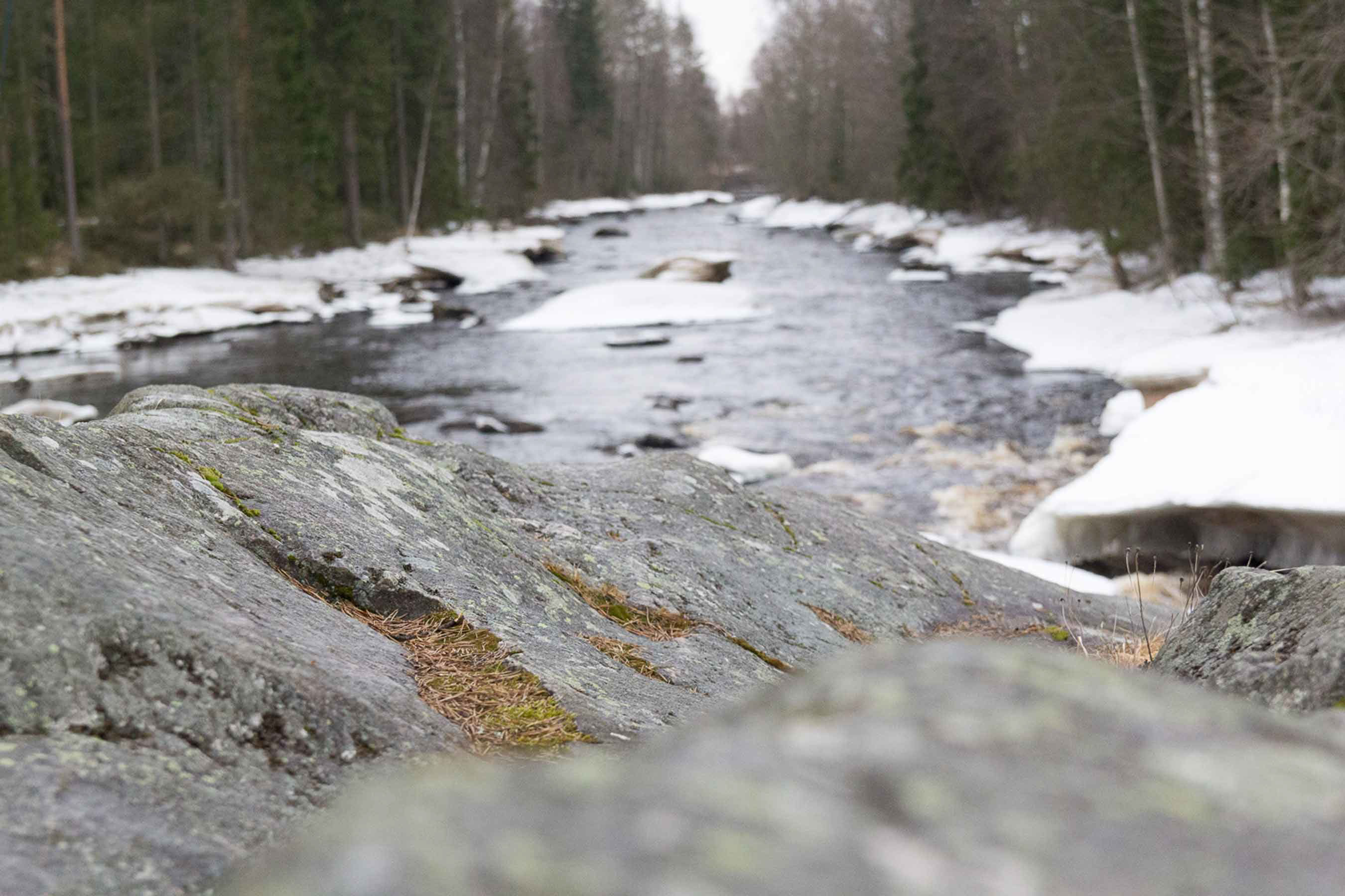 Leader-Movie Final Report image